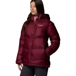 Cloudview Down Hooded Jacket - Women's