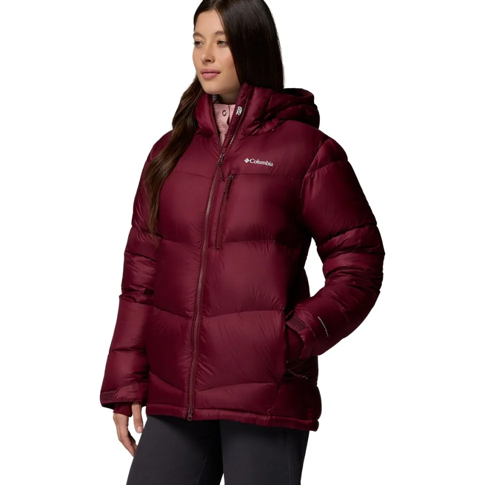 Cloudview Down Hooded Jacket - Women's