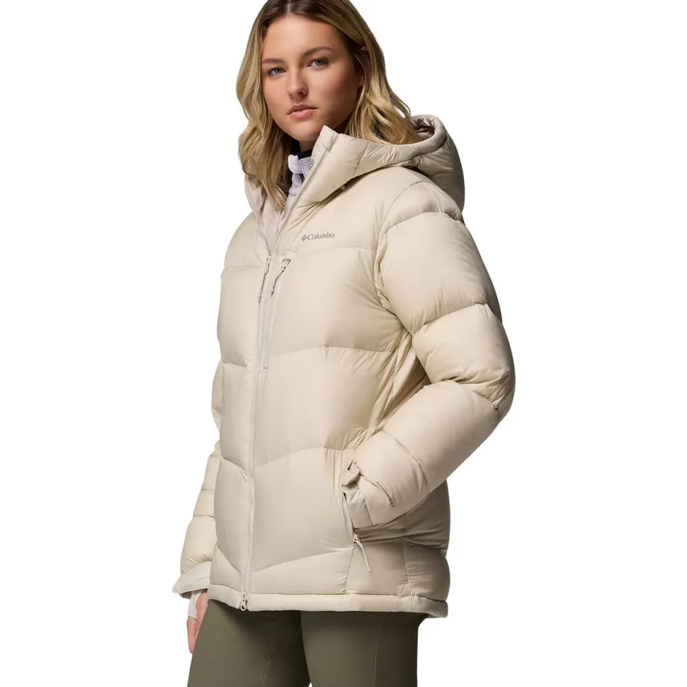Cloudview Down Hooded Jacket - Women's