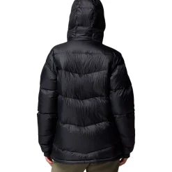 Cloudview Down Hooded Jacket - Women's