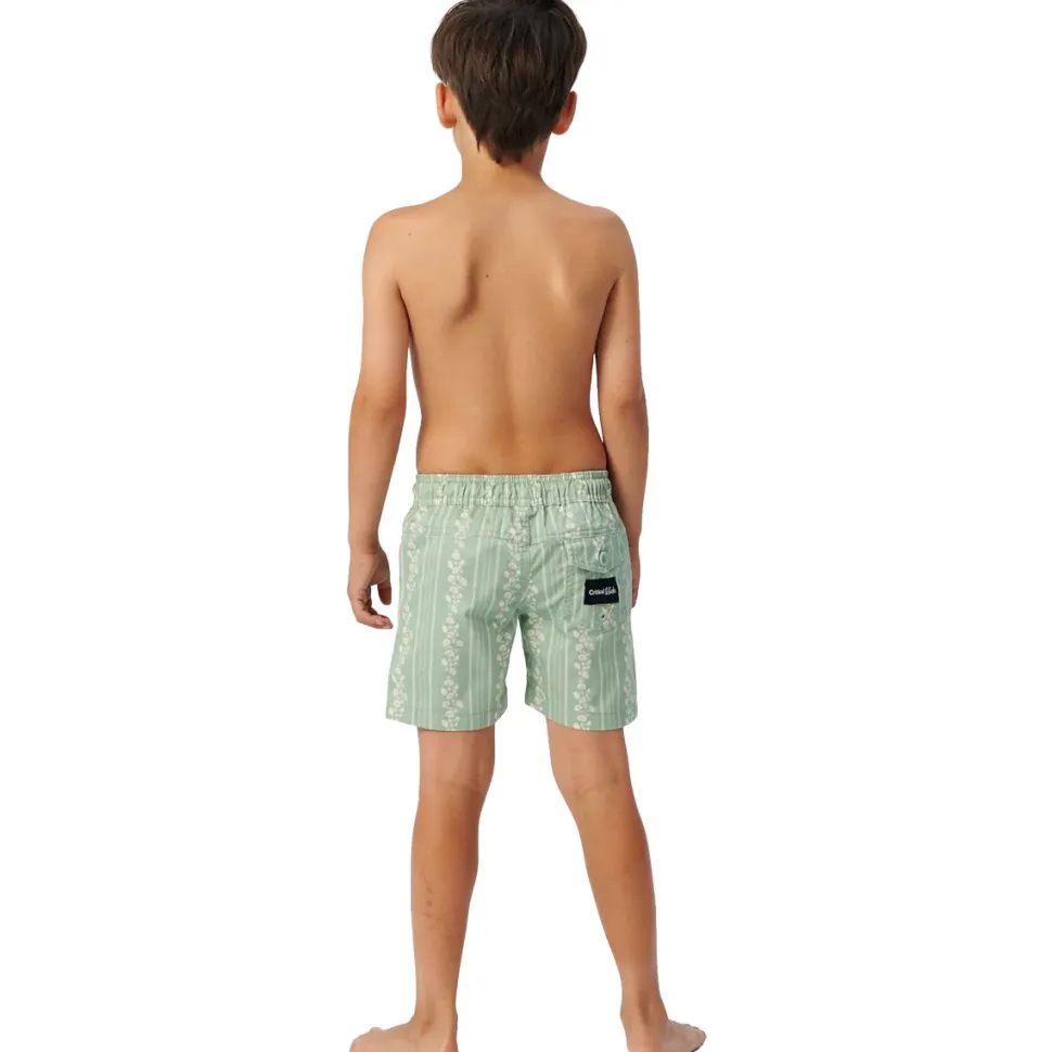 Coggs Trunk - Toddler Boys'