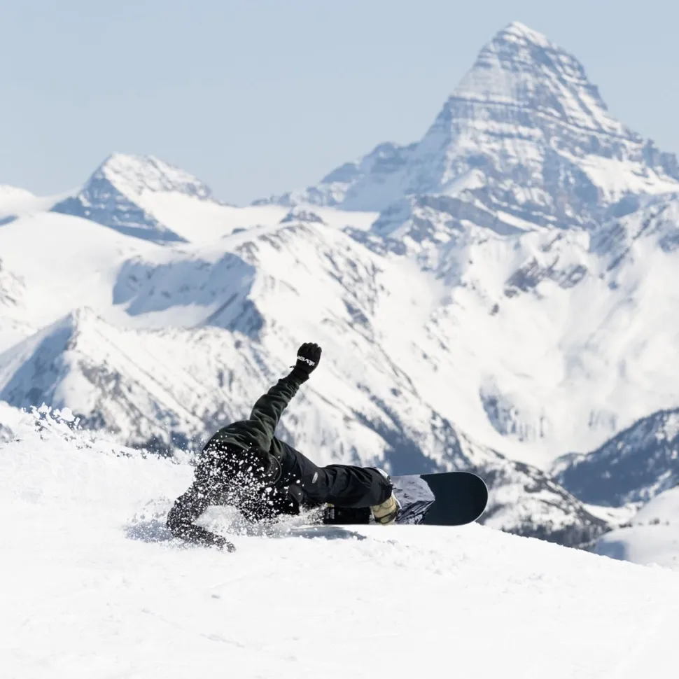 Cold Brew Snowboard - 2026