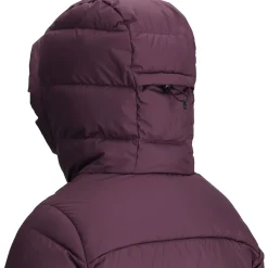 Coldfront Down Hooded Jacket - Women's