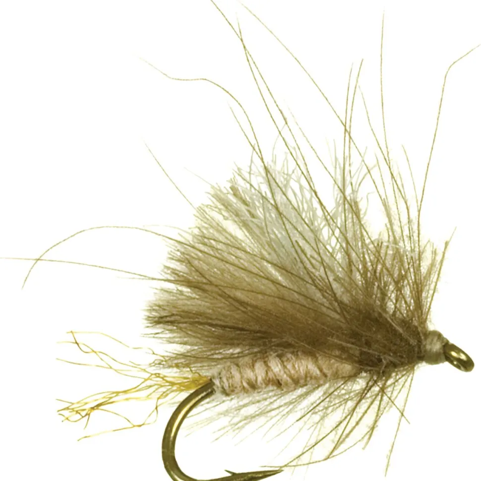 Corn-Fed Caddis 12-Pack