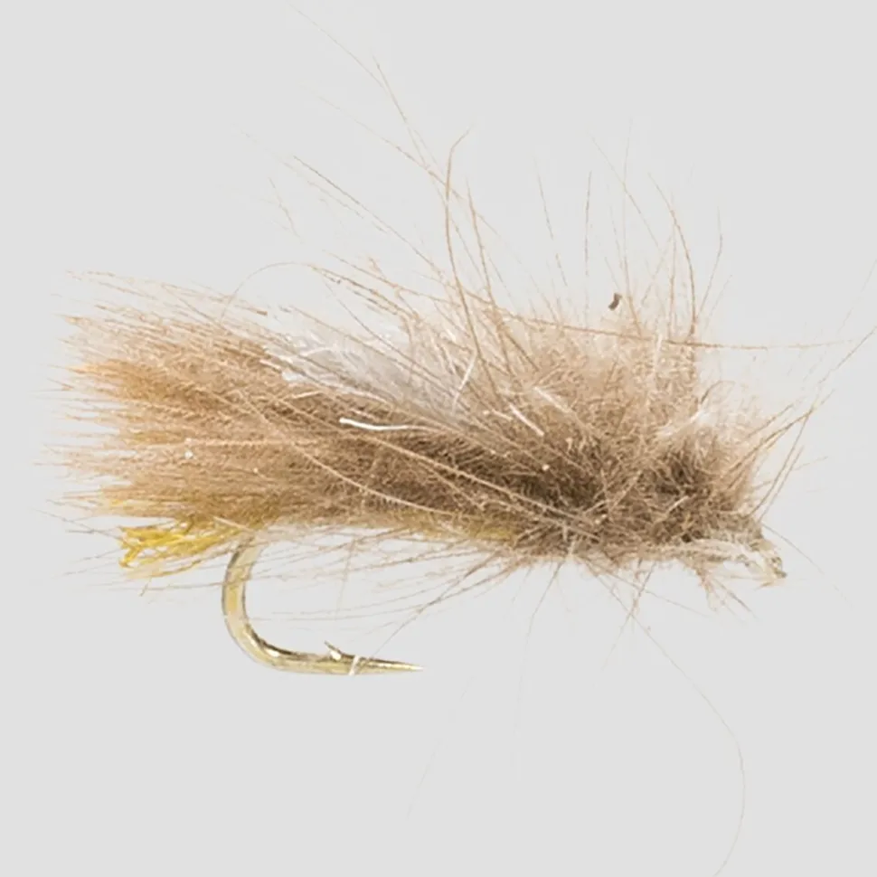 Corn-Fed Caddis 12-Pack