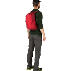 Daylite 13L Backpack
