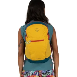 Daylite Plus 20L Backpack