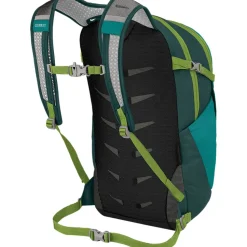 Daylite Plus 20L Backpack