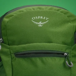 Daylite Plus 20L Backpack