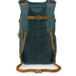 Daylite Plus 20L Backpack