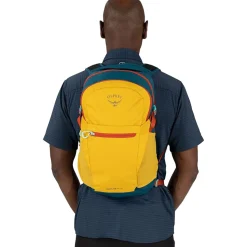 Daylite Plus 20L Backpack