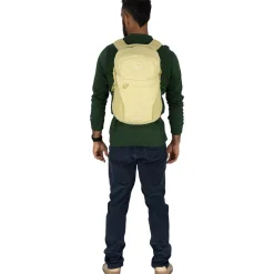 Daylite Plus 20L Backpack