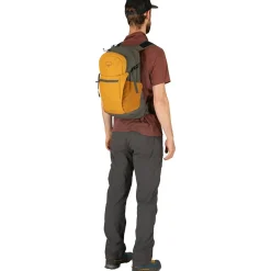 Daylite Plus 20L Backpack