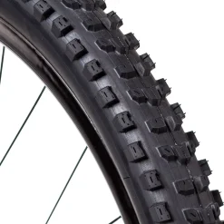 Dissector Wide Trail Dual Compound EXO/TR 29in Tire