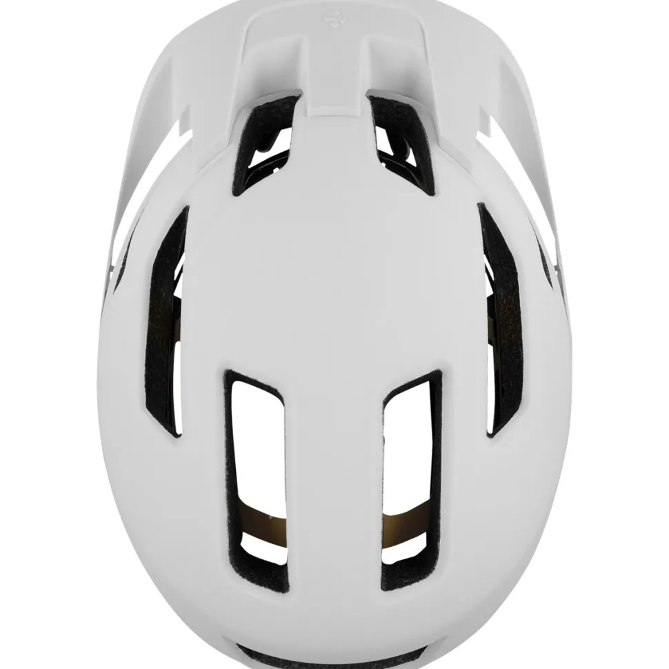 Dissenter Mips Helmet