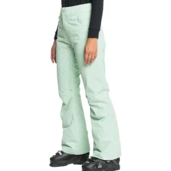 Diversion Snow Pant - Women's