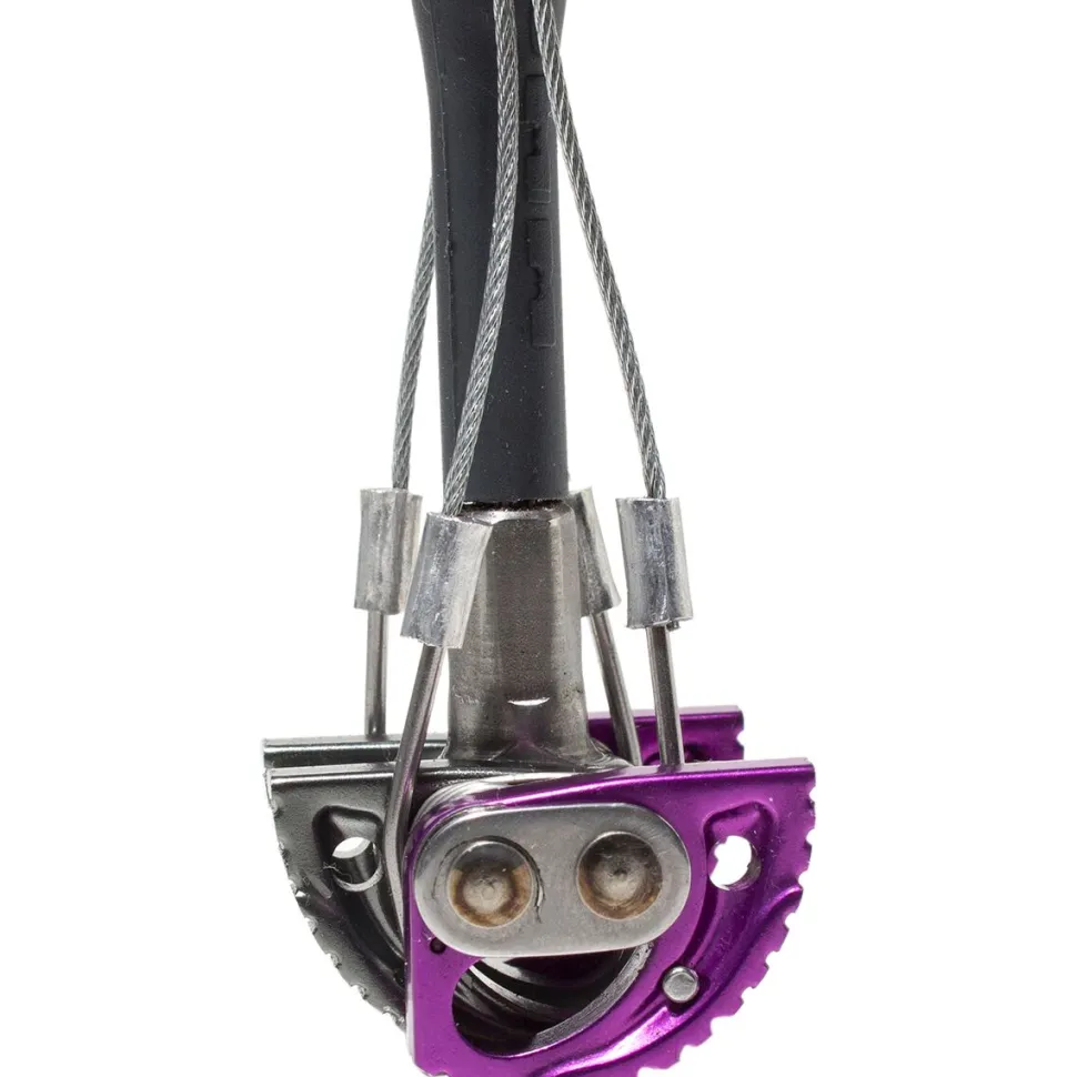 Dragon 2 Cam
