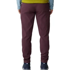 Dynama Ankle Pant - Women's
