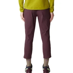 Dynama Crop Pant - Women's