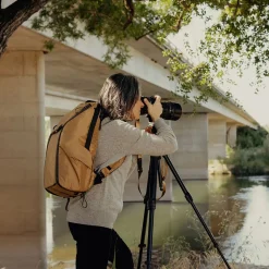 Everyday 20L Backpack