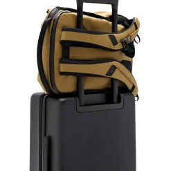 Everyday 20L Backpack