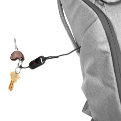 Everyday 20L Backpack