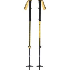 Expedition Johnny Collinson Ski Poles