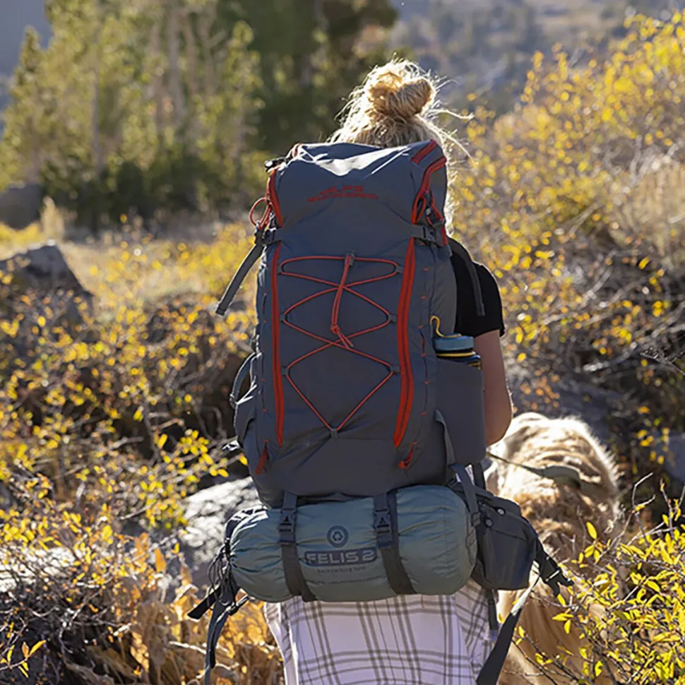 Felis 2 Tent: 2-Person 3-Season