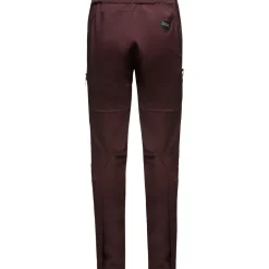 Fernflow WINDSTOPPER Pant - Men's