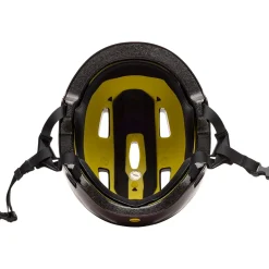 Flight Helmet