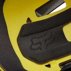 Flight Helmet