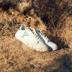 Fractus Cactus Shoe - Men's