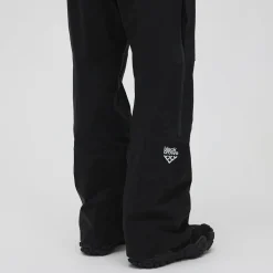 Freebird 3L Pant - Men's