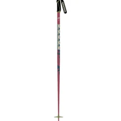 Freeride 16 Ski Poles