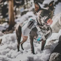 K-9 Pack