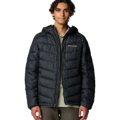 Labyrinth Loop II Hooded Jacket - Men's
