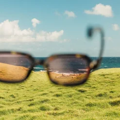 Lago Polarized Sunglasses
