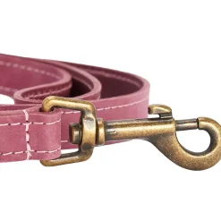 Leather Dog Lead