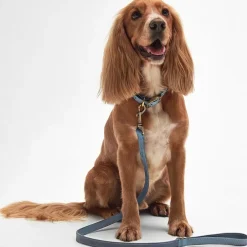 Leather Dog Lead
