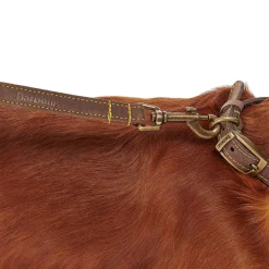Leather Dog Lead