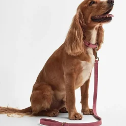 Leather Dog Lead