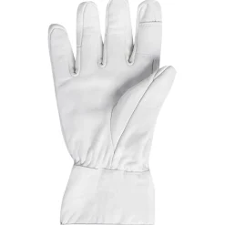 Leather Glove
