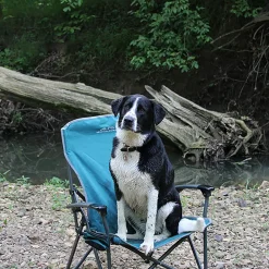 Leisure Chair
