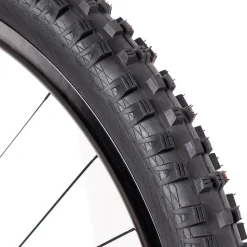 Magic Mary Addix Evolution 29in Tire