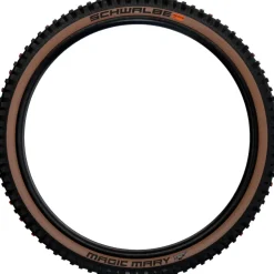 Magic Mary Evolution Tubeless Tire - 29in