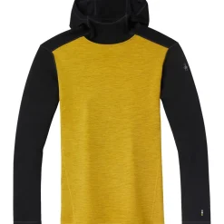 Merino 250 Baselayer Hoodie - Men's