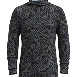 Merino 250 Baselayer Hoodie - Men's