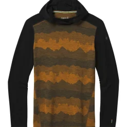 Merino 250 Baselayer Hoodie - Men's