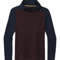 Merino 250 Baselayer Hoodie - Men's