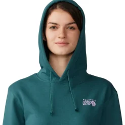 MHW Logo Pullover Hoodie - Women's